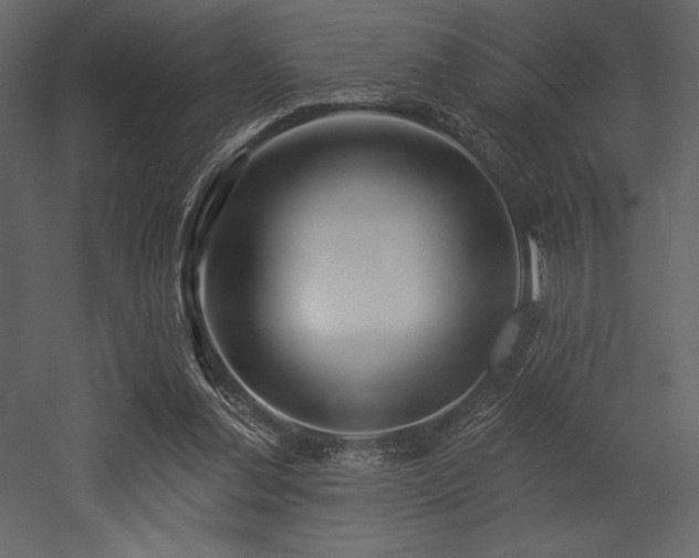 X0000053000252200507081241