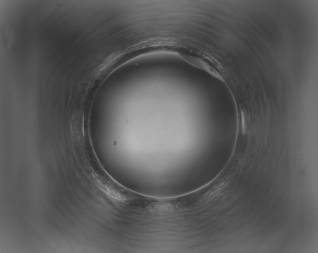 X0000053000253200507081241
