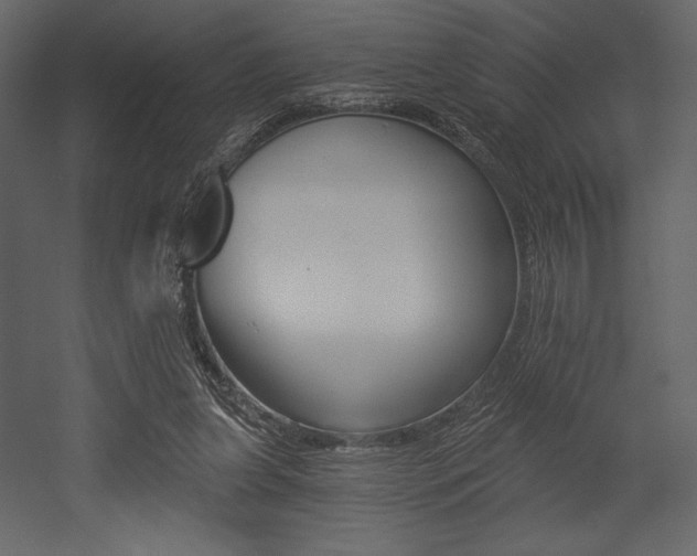 X0000053000255200507081241