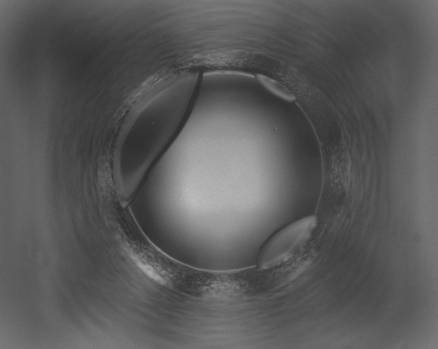X0000053000256200507081241