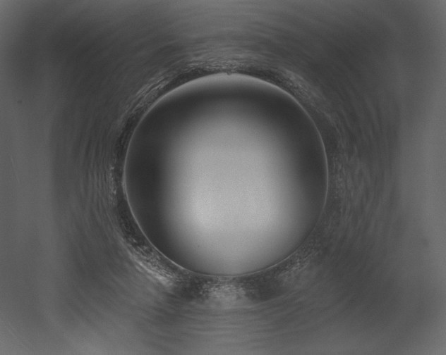 X0000053000258200507081241