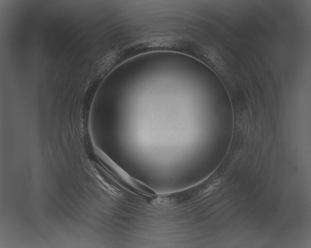 X0000053000261200507081241