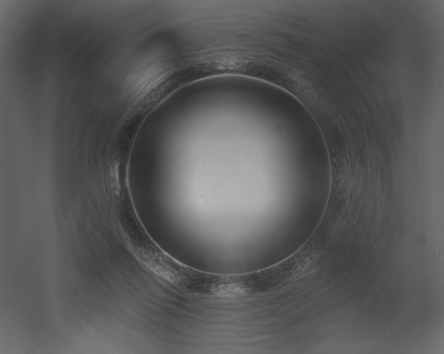 X0000053000262200507081241