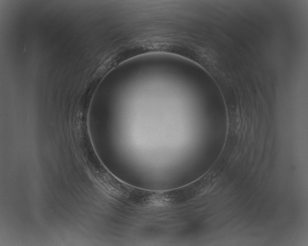 X0000053000263200507081241