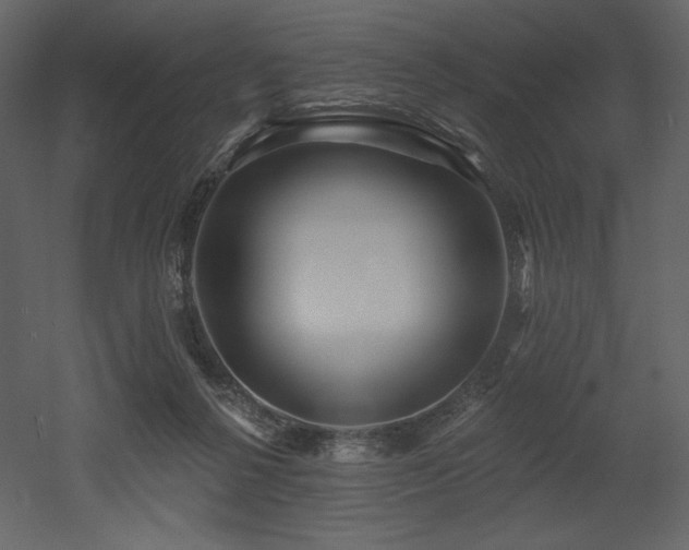 X0000053000264200507081241