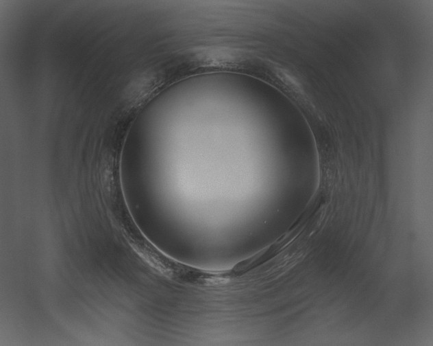X0000053000265200507081241