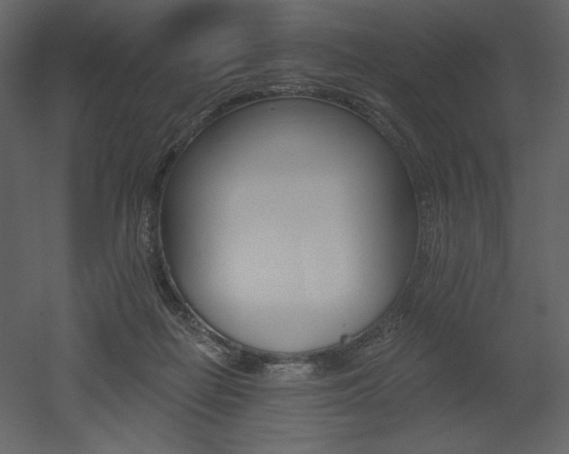 X0000053000266200507081241