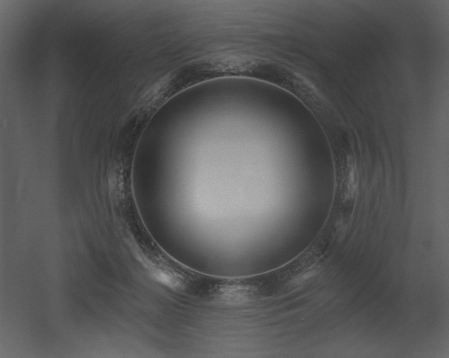 X0000053000268200507081241