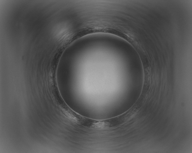 X0000053000269200507081241