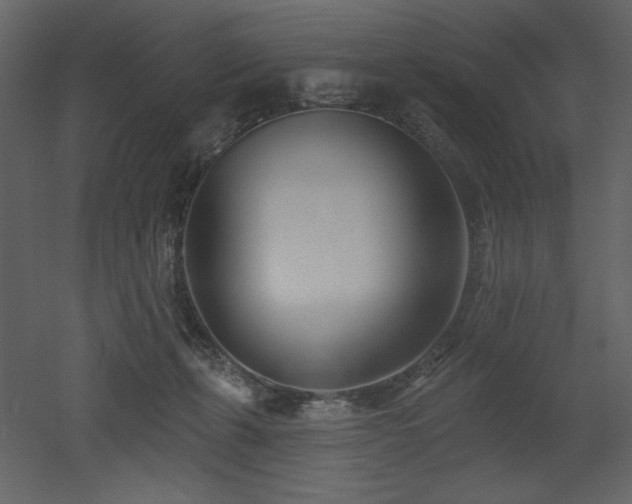 X0000053000271200507081241