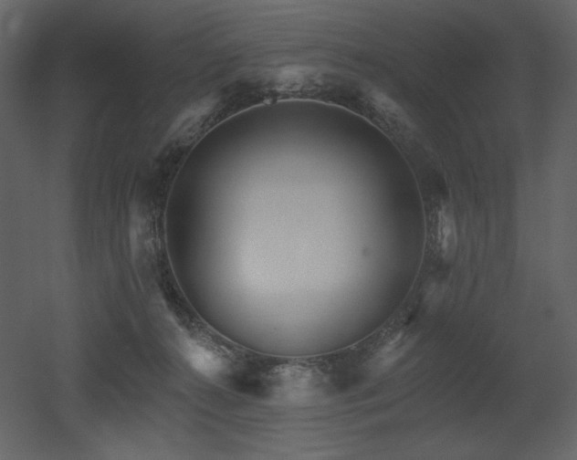X0000053000272200507081241
