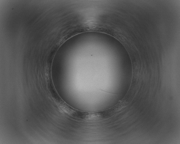 X0000053000274200507081241