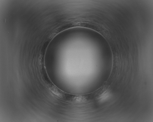 X0000053000275200507081241