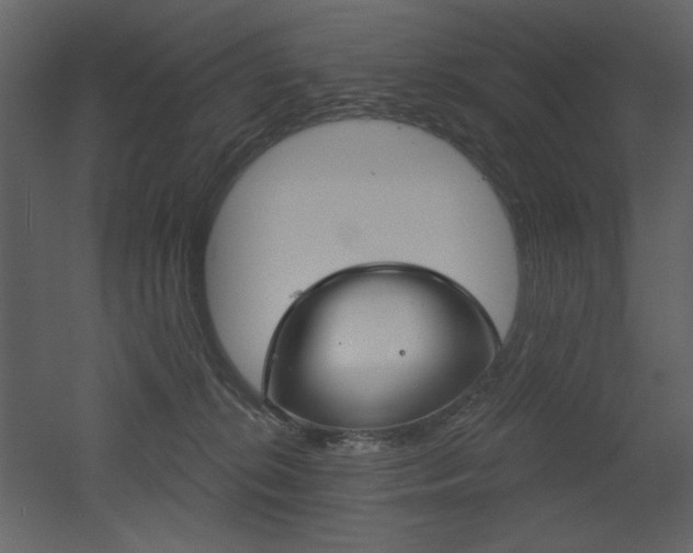 X0000053000276200507081241