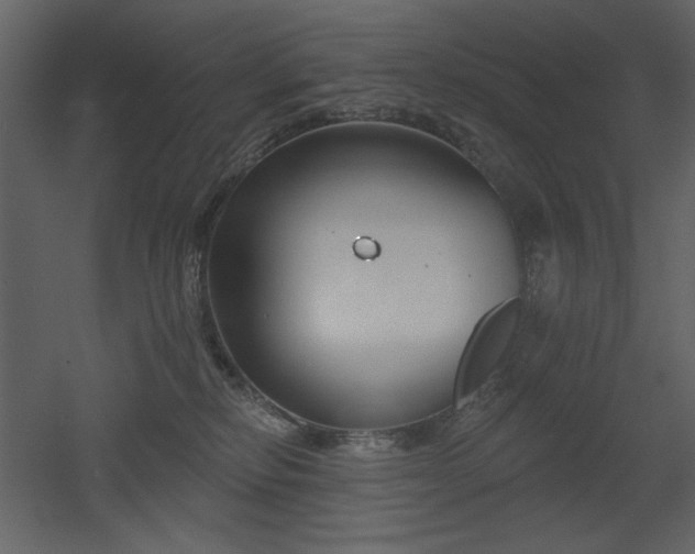 X0000053000278200507081241