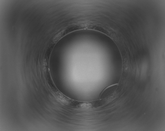 X0000053000279200507081241