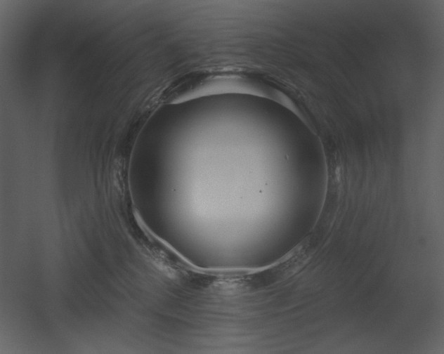 X0000053000280200507081241