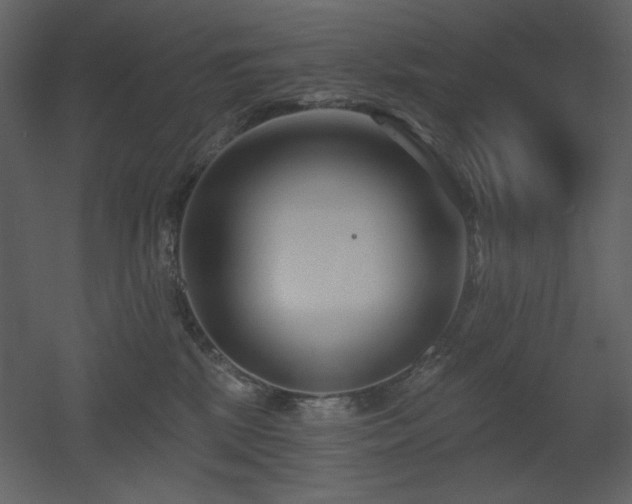 X0000053000281200507081241