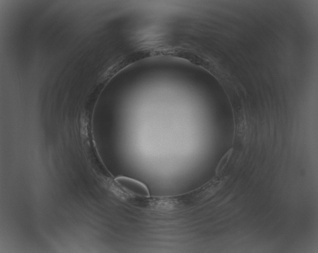 X0000053000282200507081241