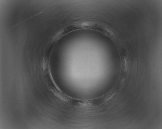 X0000053000284200507081241