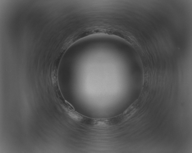 X0000053000285200507081241