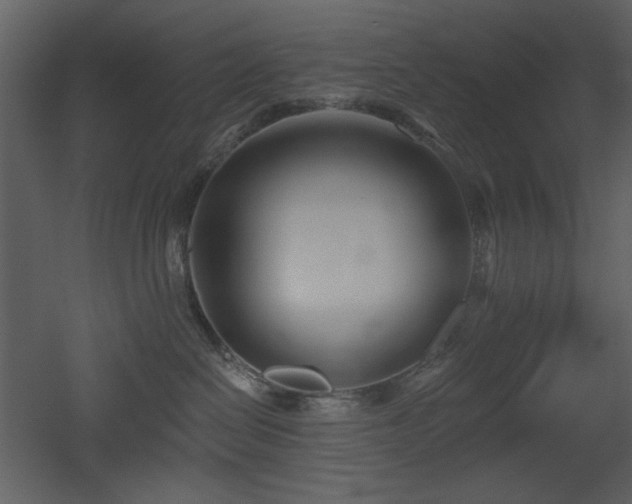 X0000053000286200507081241