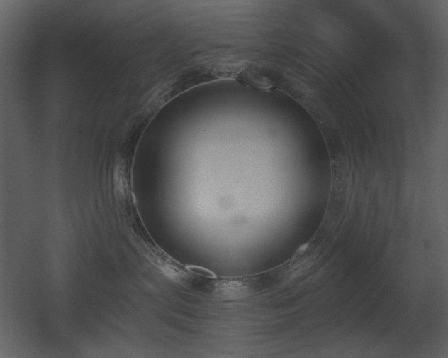 X0000053000287200507081241