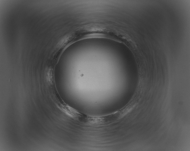 X0000053000288200507081241
