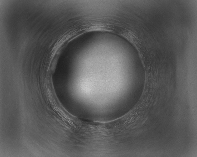 X0000053000289200507081240