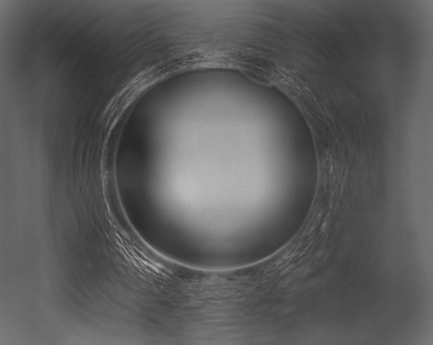 X0000053000290200507081240