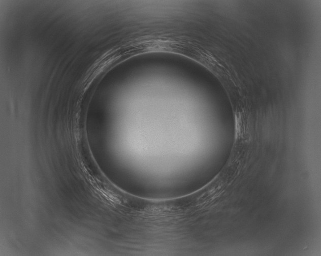X0000053000291200507081240