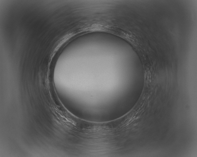 X0000053000292200507081240