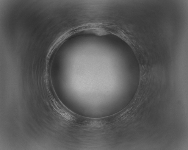 X0000053000293200507081240
