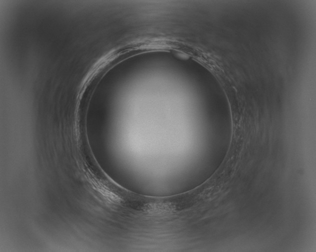 X0000053000296200507081240