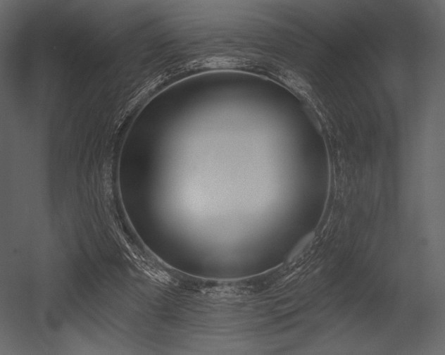X0000053000297200507081240