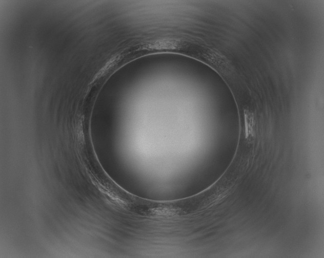 X0000053000300200507081240
