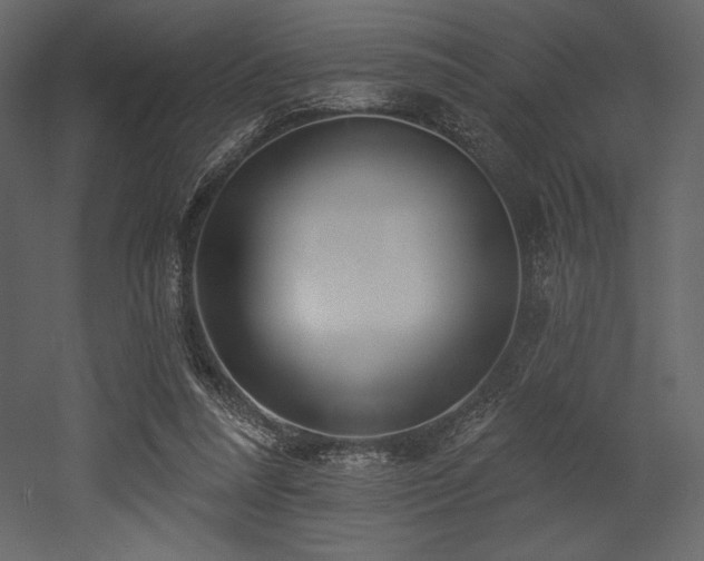 X0000053000304200507081240