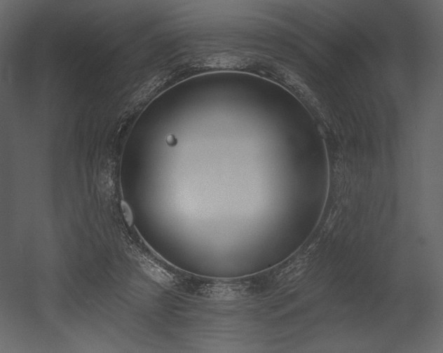 X0000053000305200507081240