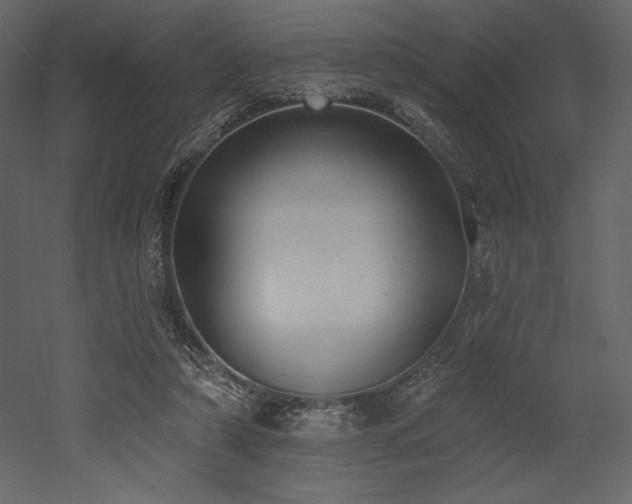 X0000053000306200507081240