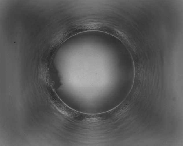 X0000053000307200507081240