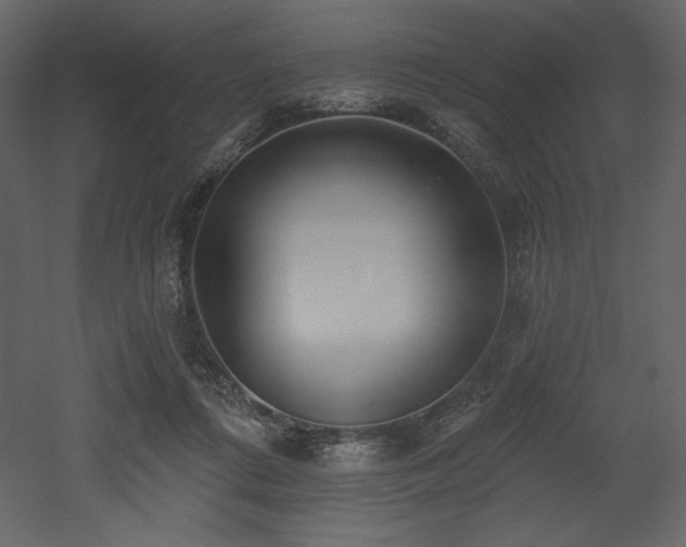 X0000053000312200507081240