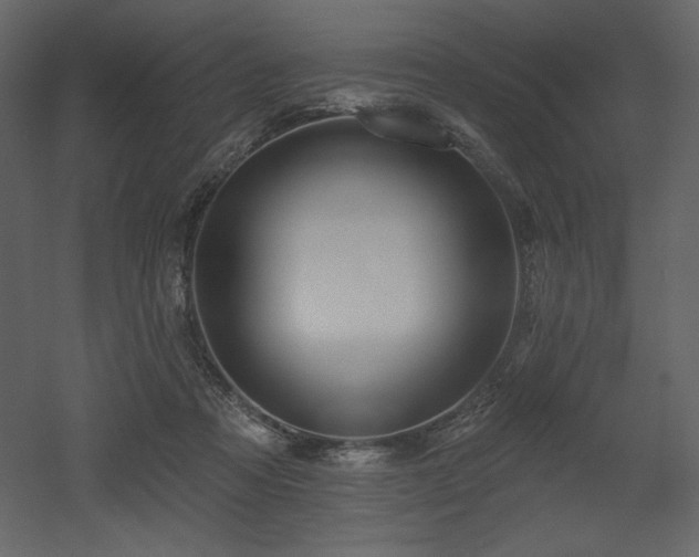 X0000053000313200507081240