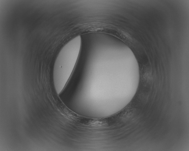 X0000053000315200507081240