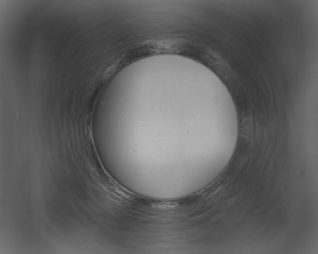 X0000053000318200507081240
