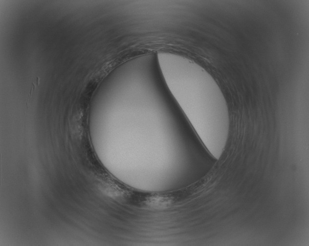 X0000053000319200507081240