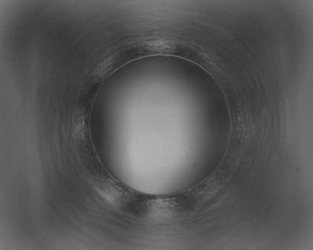 X0000053000320200507081240
