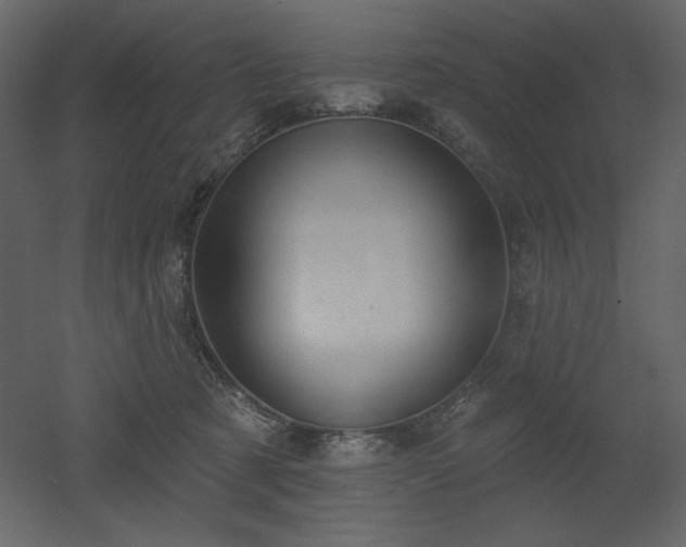 X0000053000321200507081240