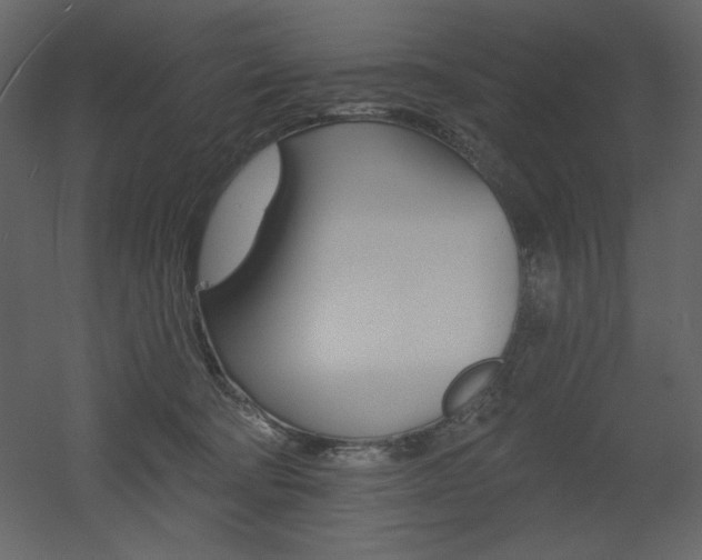 X0000053000322200507081240