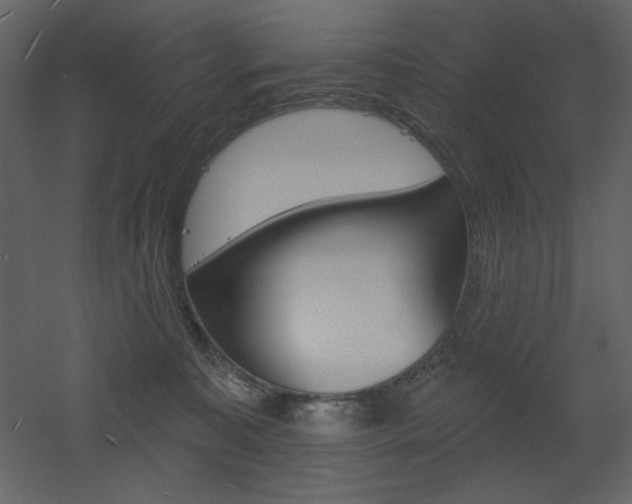 X0000053000323200507081240