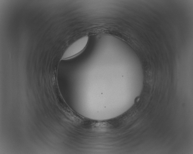 X0000053000324200507081240
